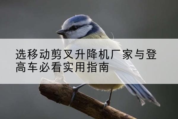 略阳电动升降机厂家-选移动剪叉升降机厂家与登高车必看实用指南