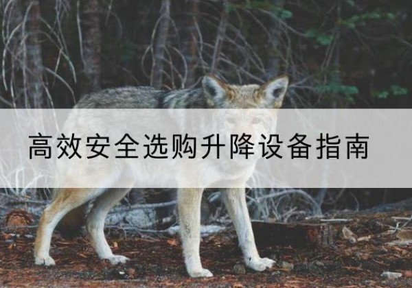 略阳升降货梯厂家推荐-*安全选购升降设备指南