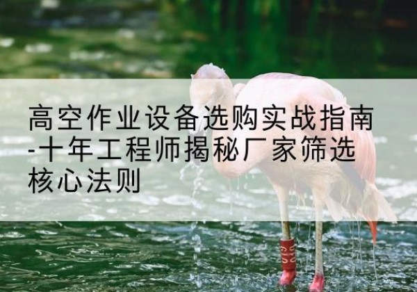 略阳剪叉式升降机厂家-高空作业设备选购实战指南-十年工程师揭秘厂家筛选核心法则