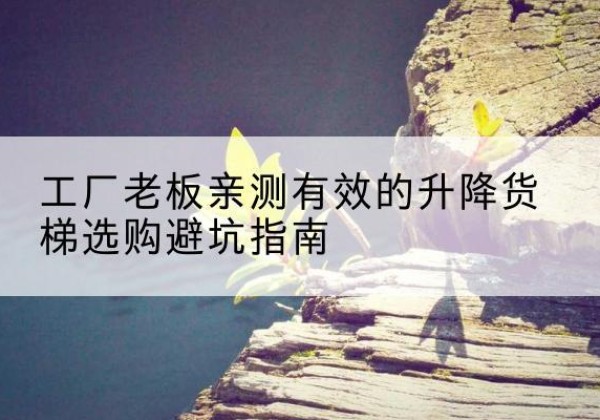 略阳升降货梯怎么选-工厂老板亲测有效的升降货梯选购避坑指南